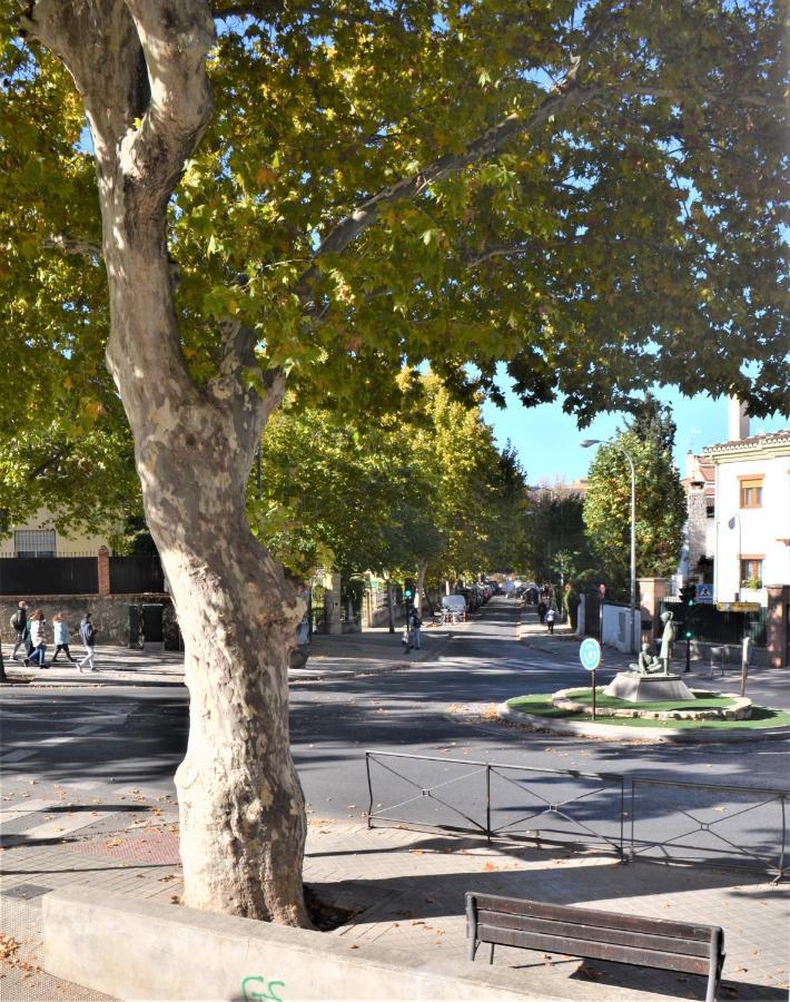 Carmela Suites Apartamento De Dos Dormitorios Granada Bagian luar foto