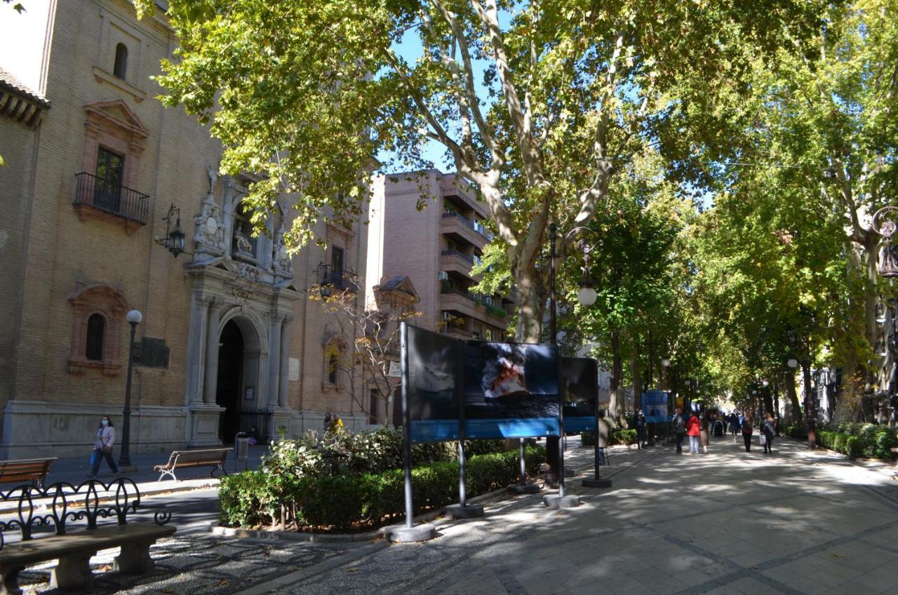 Carmela Suites Apartamento De Dos Dormitorios Granada Bagian luar foto